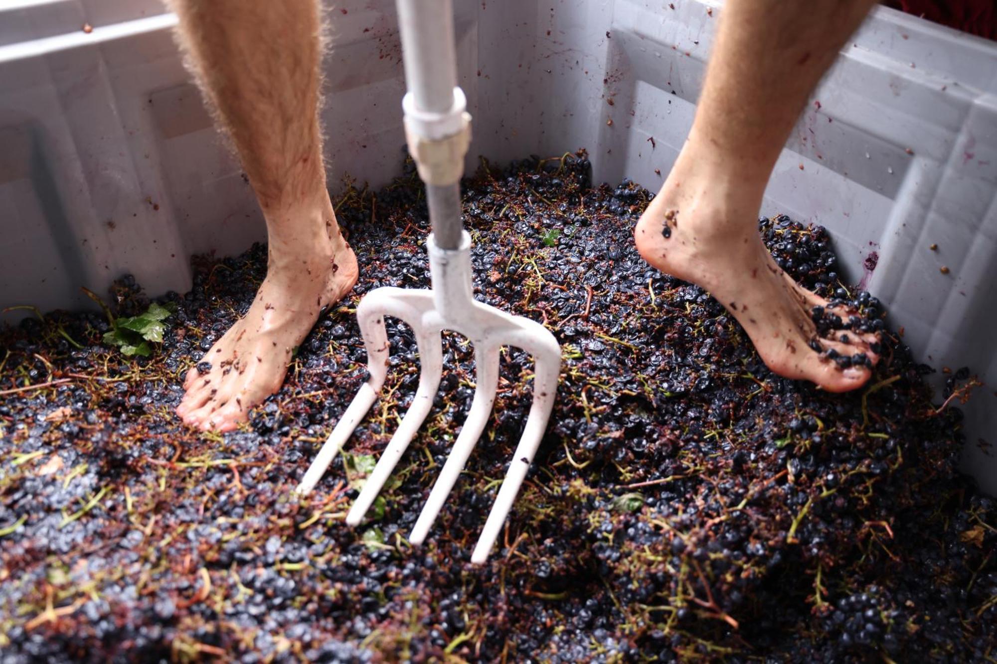 Bio-Agriturismo La Ginestra Сан Кашано ин Вал ди Пеза Екстериор снимка